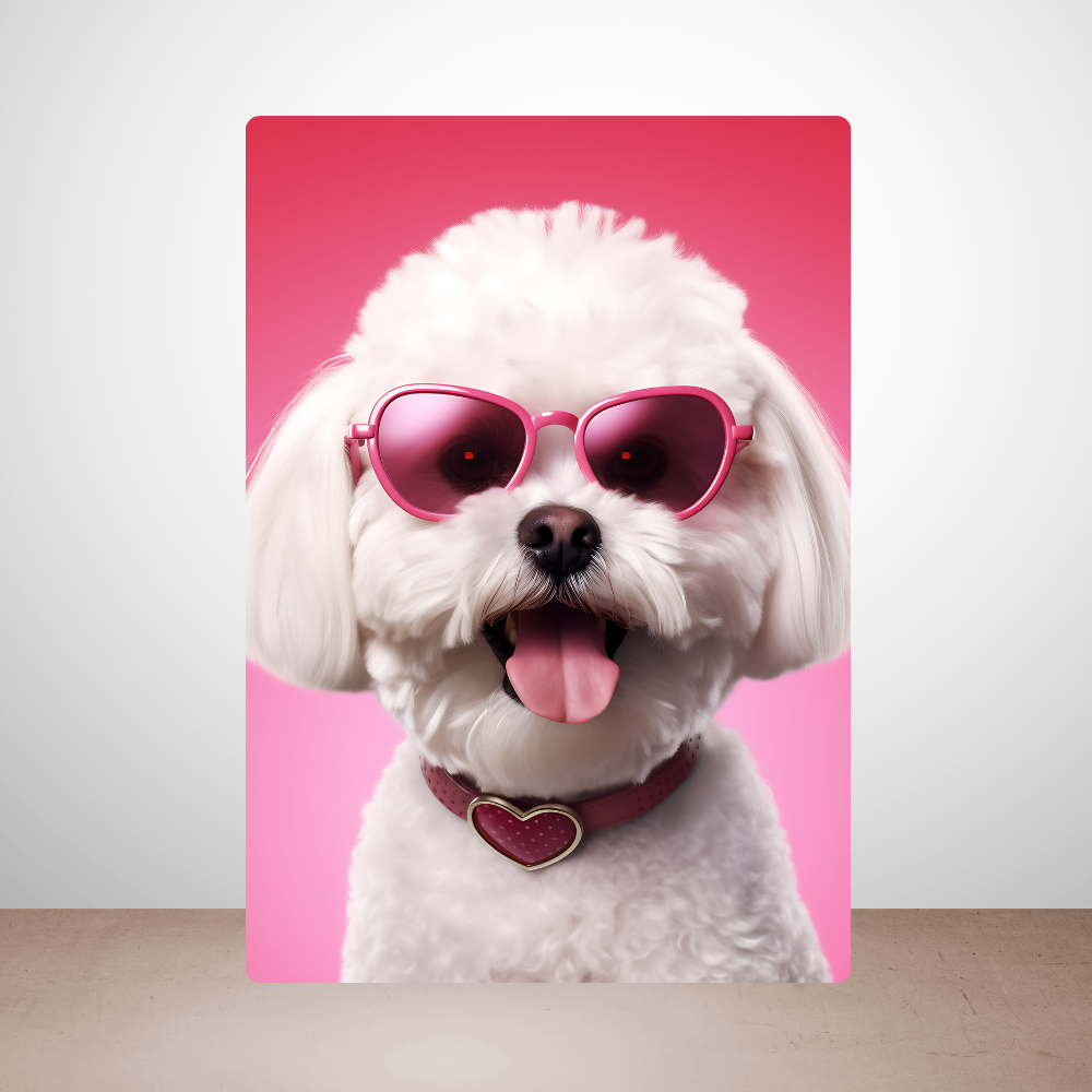 Metal poster - Bichon Frise dog