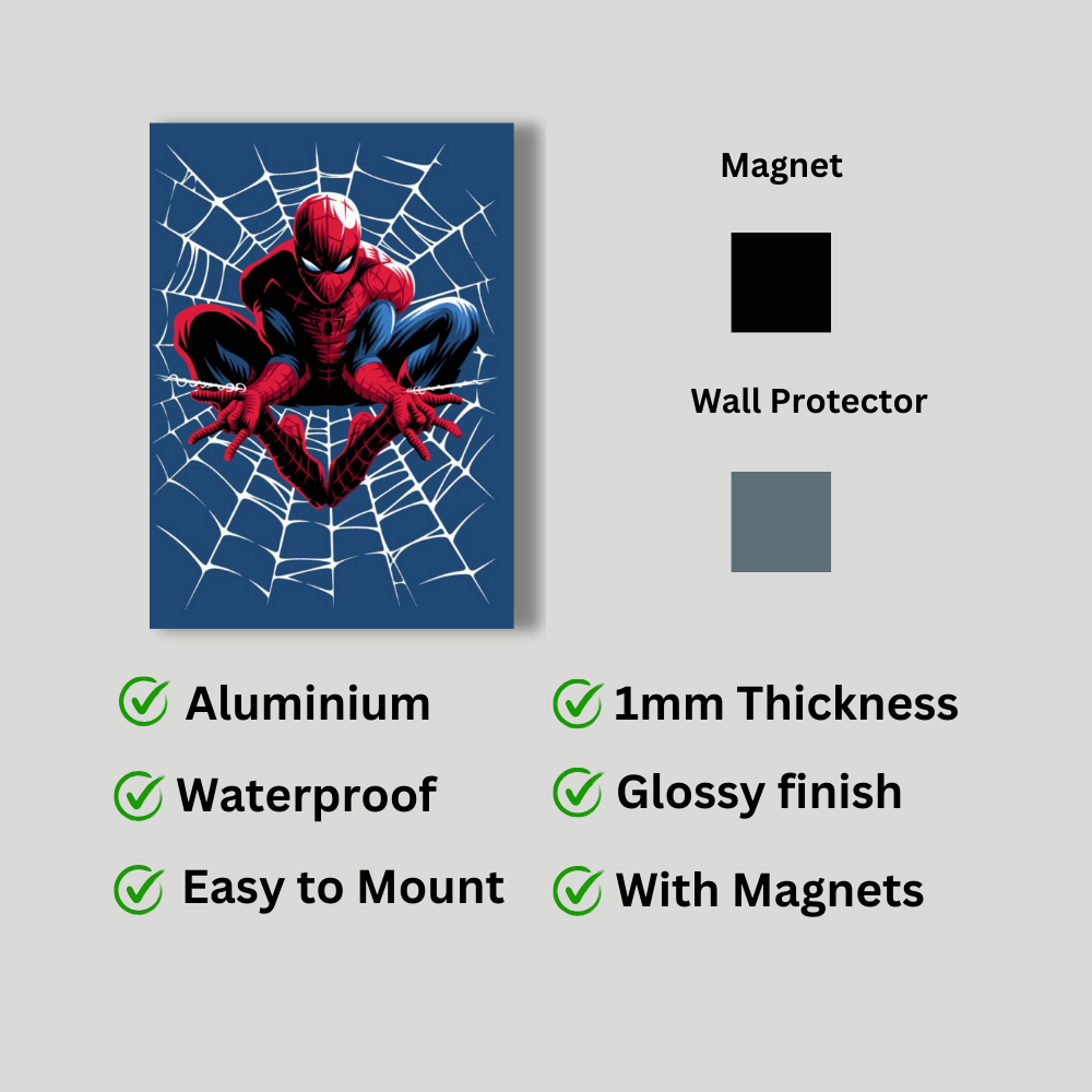 Metal poster - Spider man
