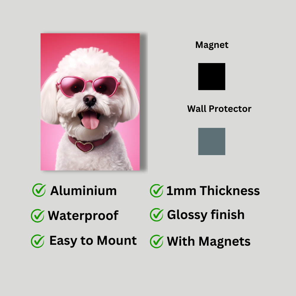 Metal poster - Bichon Frise dog