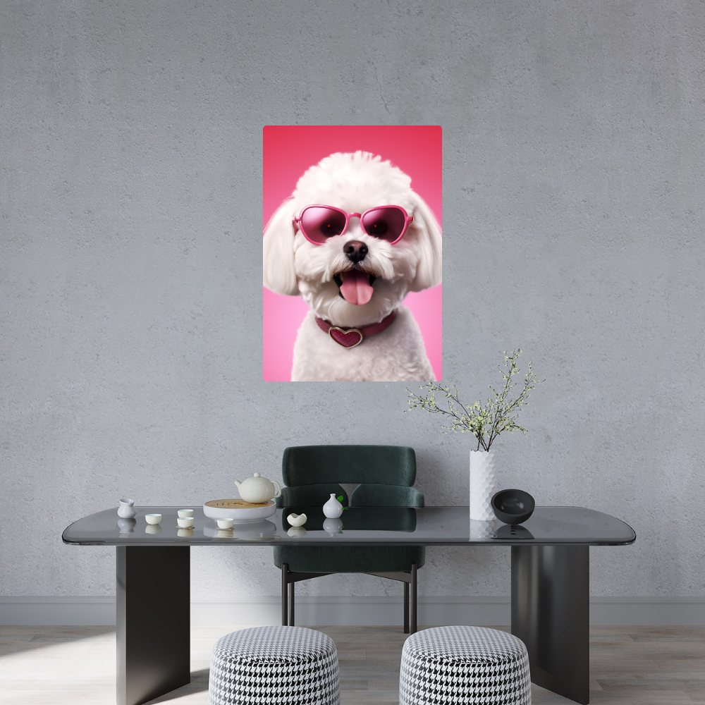 Metal poster - Bichon Frise dog