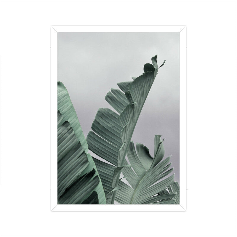 Banana Leaf Wall Art
