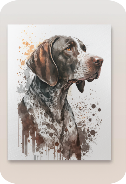 Metal Poster -Watercolor German Shorthaired Pointer dog