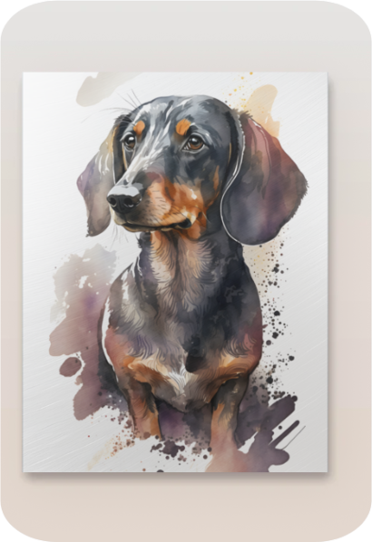 Metal Poster -Watercolor Dachshund Dog