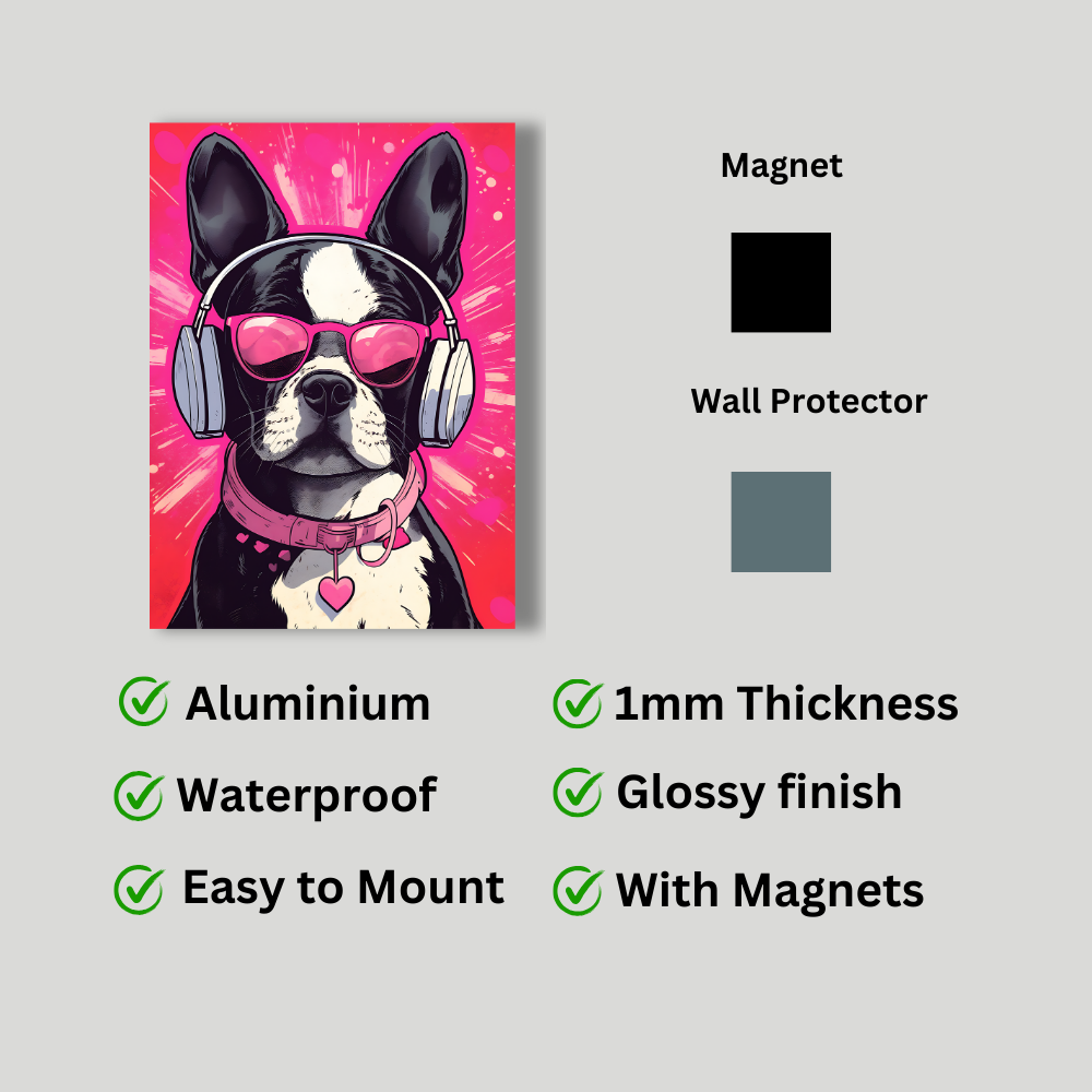 Metal Poster - Boston Terrier Dog