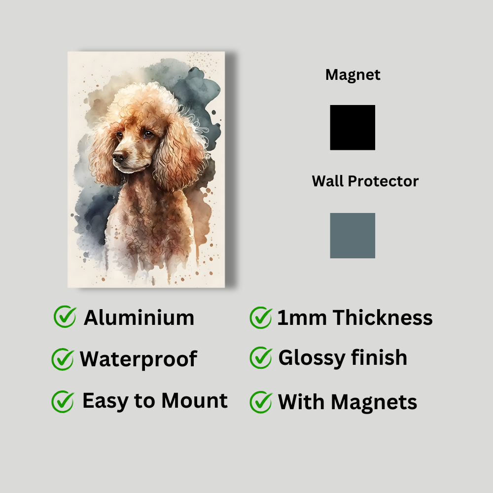 Metal Poster -Watercolor Poodle Dog