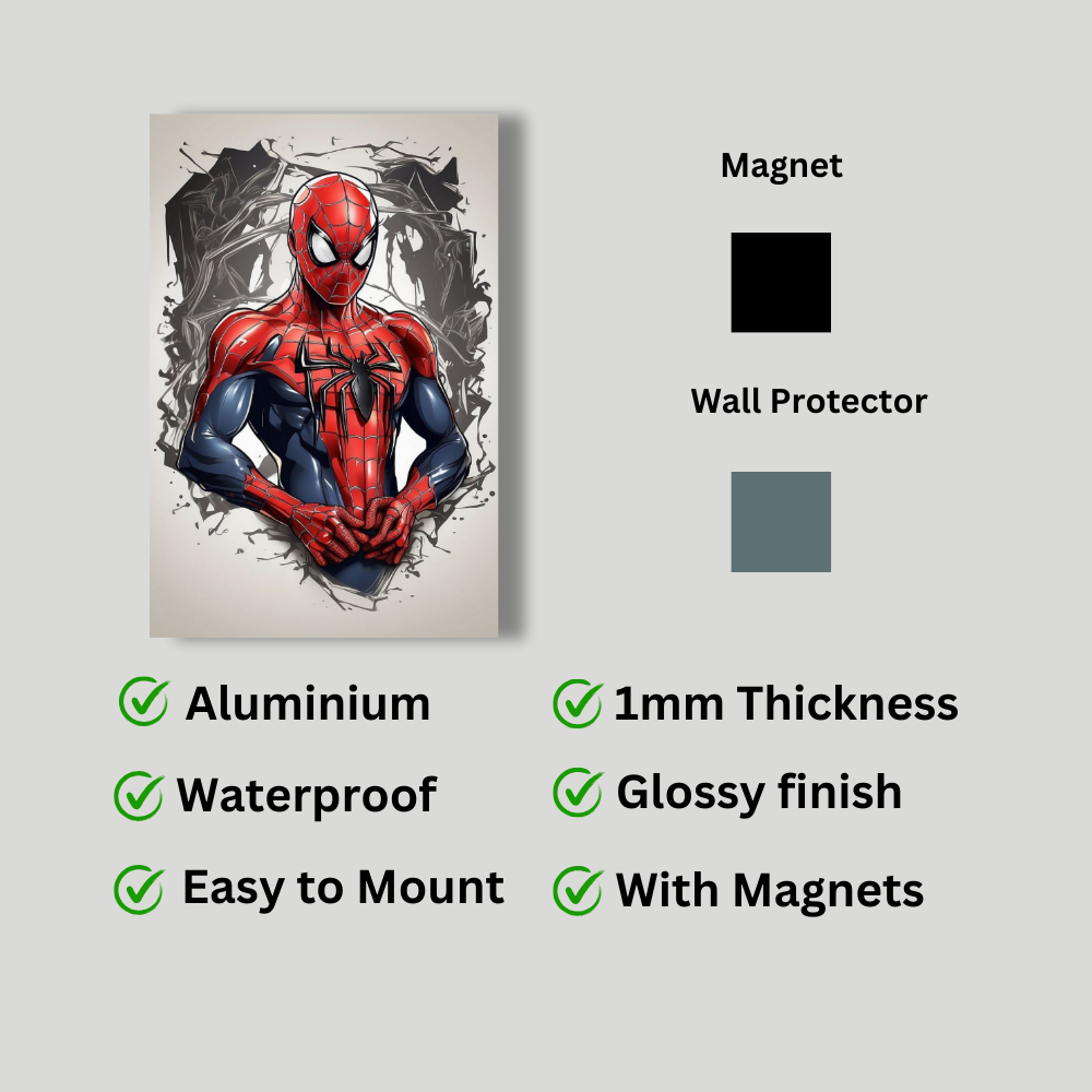 Metal poster - Spider man