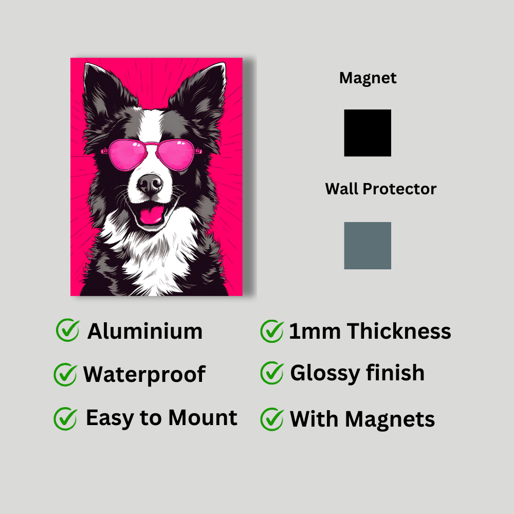 Metal Poster - Border Collies Dog with Pink Theme