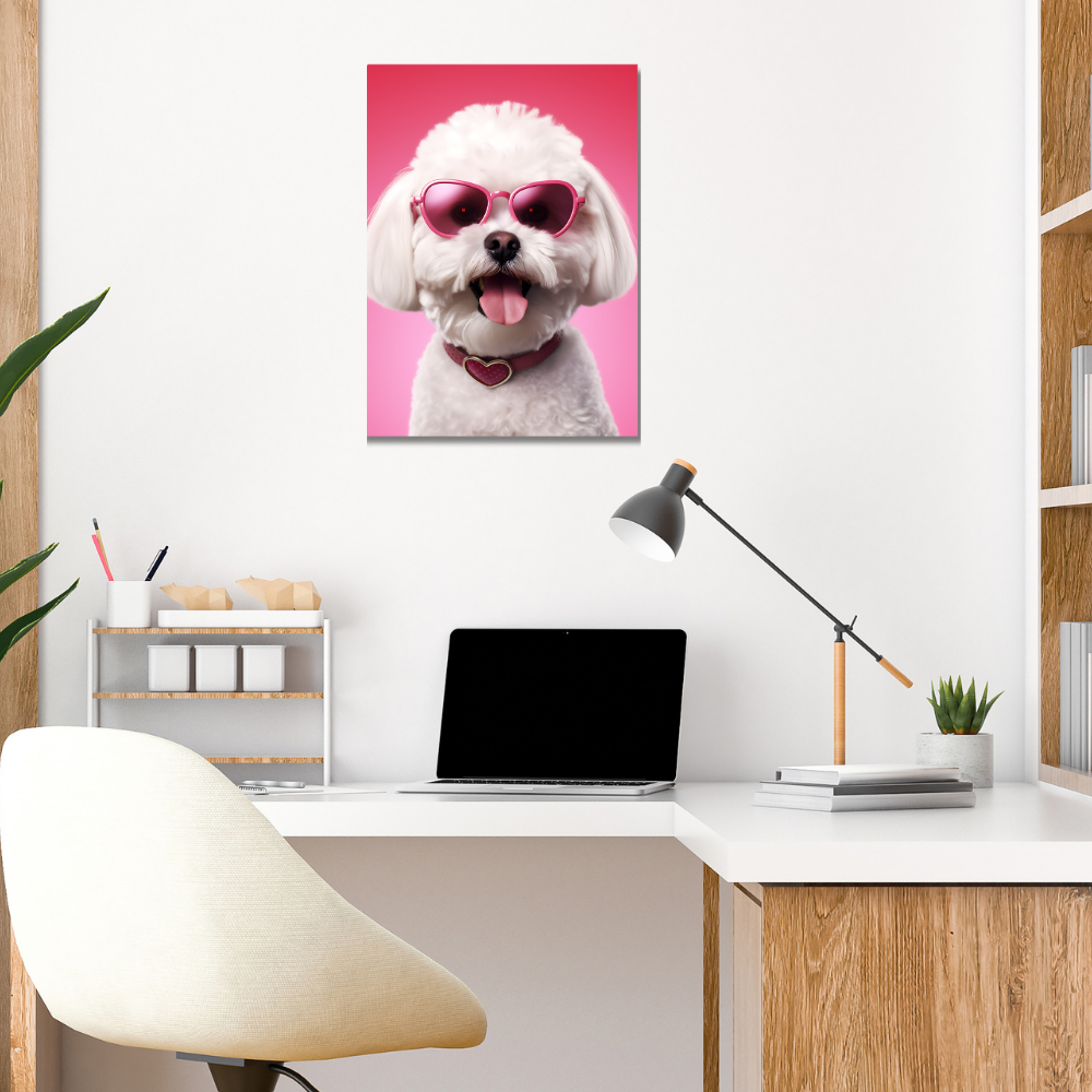Metal poster - Bichon Frise dog