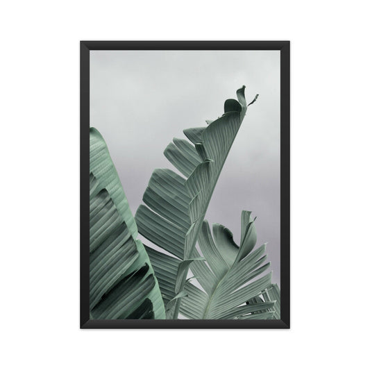 Banana Leaf Wall Art